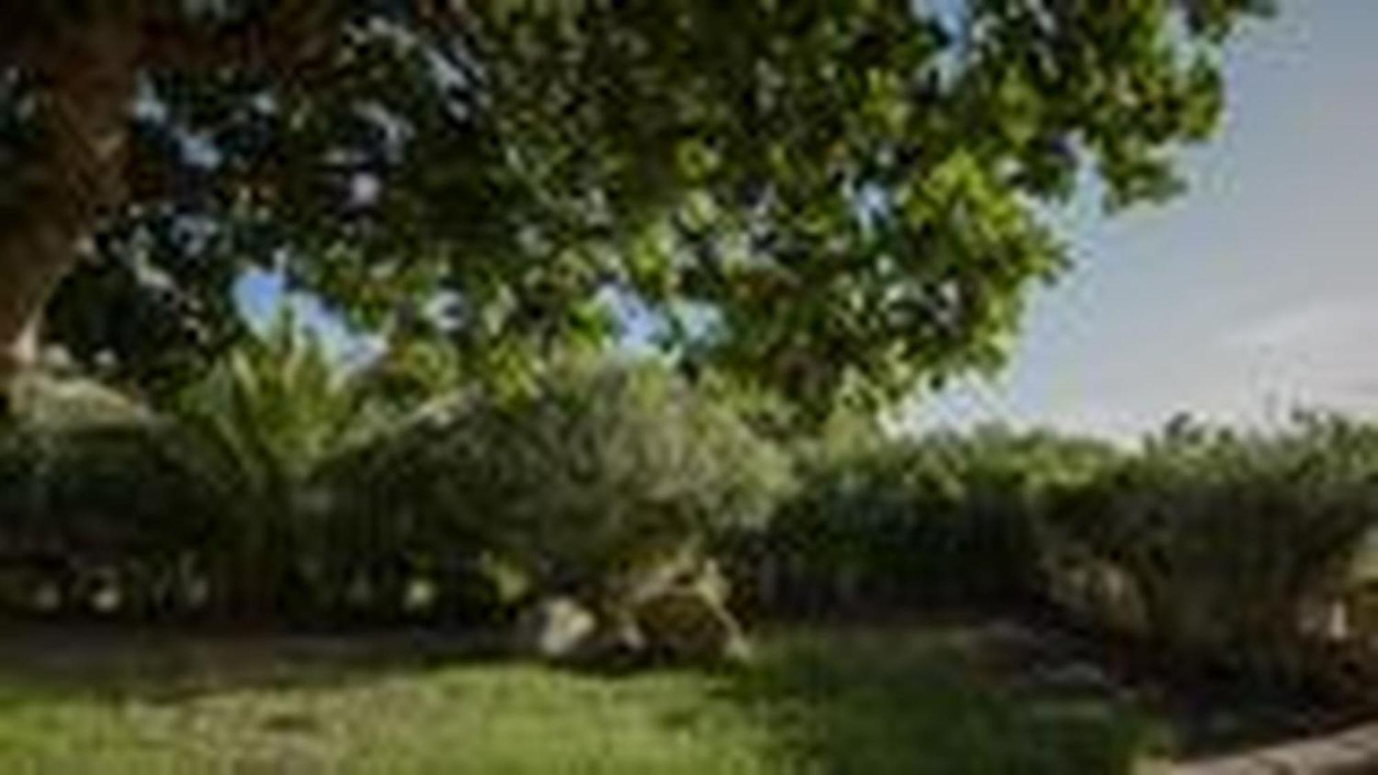Welcomely - Villa Adele Costa Rei Ngoại thất bức ảnh